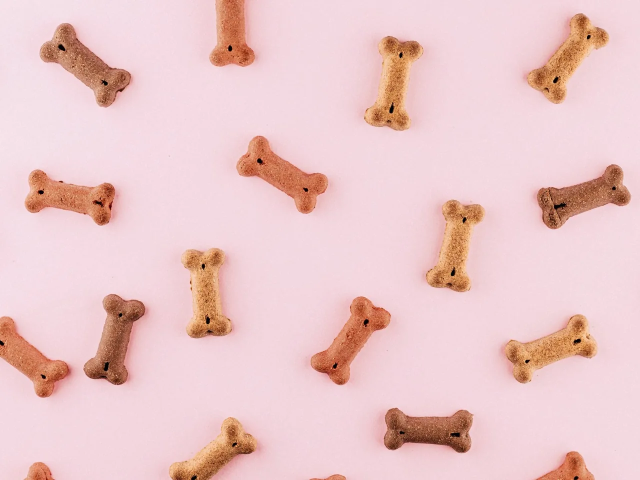 Bone shaped dog treats scattered across a solid light pink background
